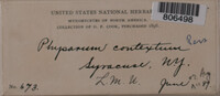 Image Associated With the Occurence